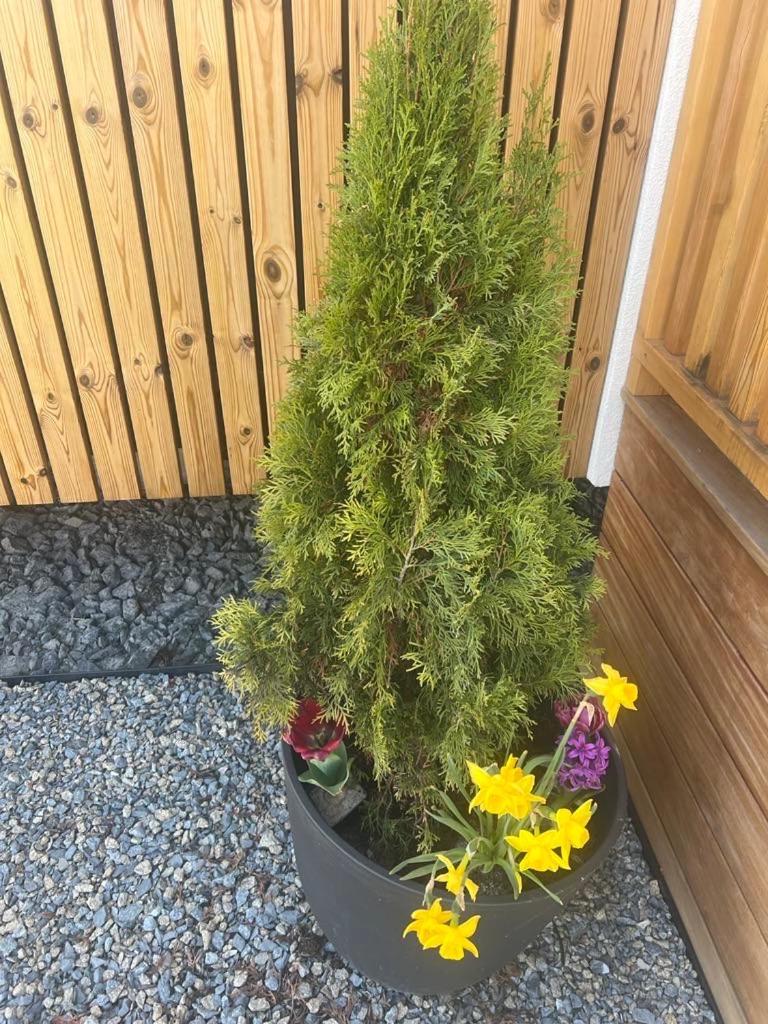 Domcek Pod Vezami S Virivkou A Grilom, Pri Termalnom Kupalisku Apartment Liptovsky Jan Bagian luar foto